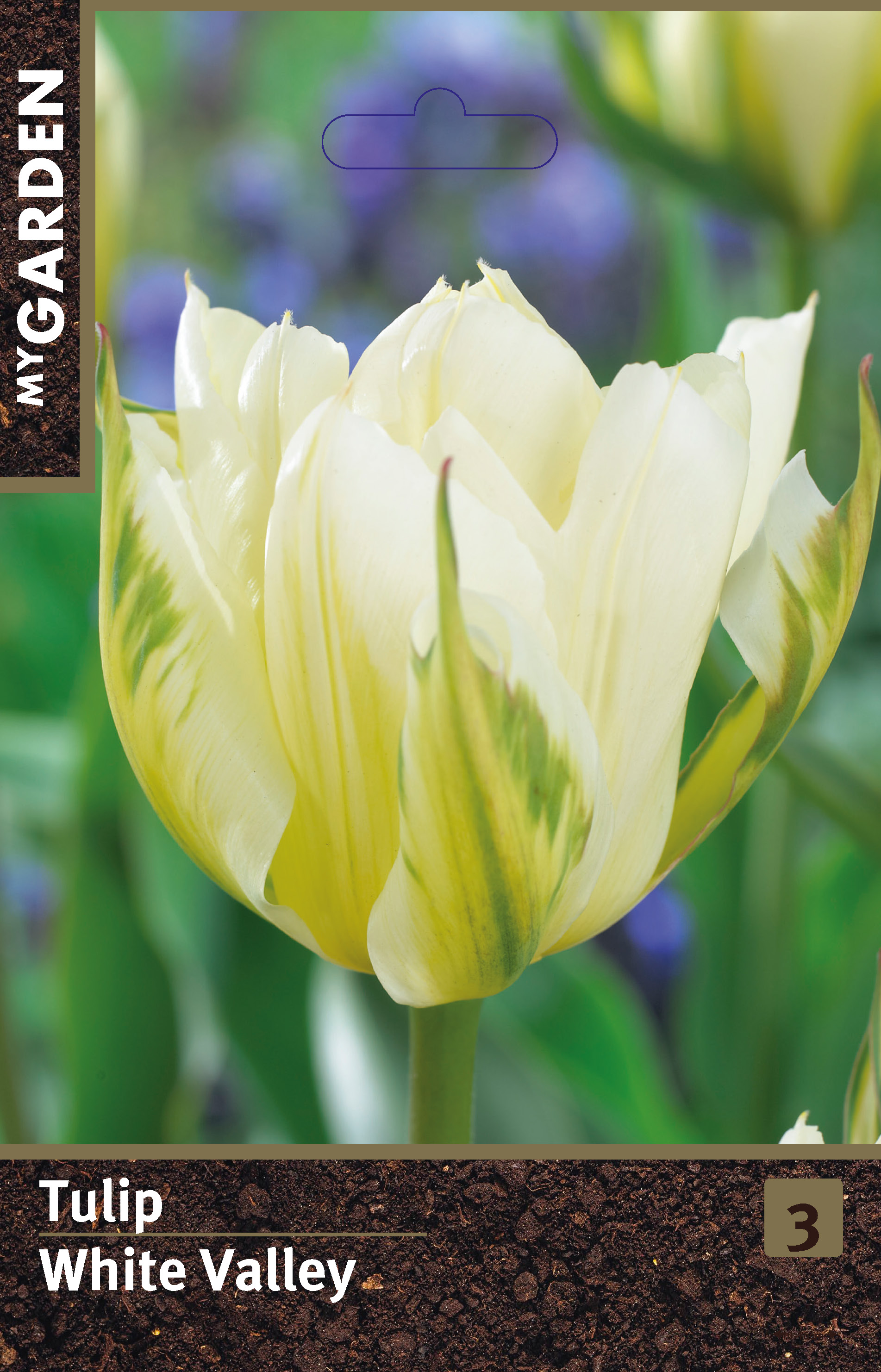 Тюльпан махровый ранний Уайт Вели